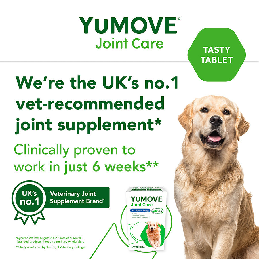 Lintbells YuMOVE senior Dog Joint Supplement