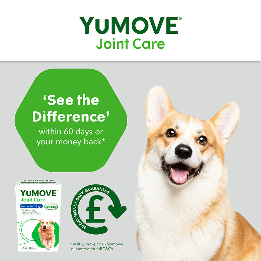 Lintbells YuMOVE senior Dog Joint Supplement