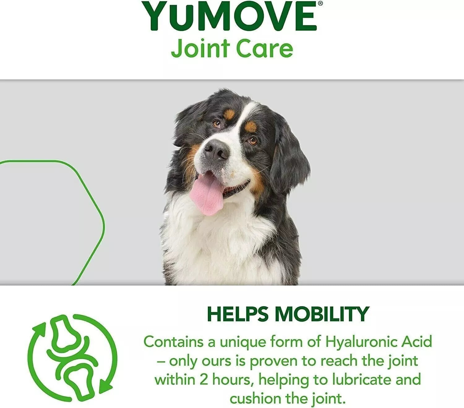 Lintbells YuMOVE senior Dog Joint Supplement